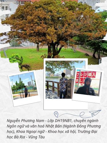 Thực tập tại Nhật Bản – Những kỷ niệm và bài học sâu lắng