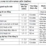 BVU thông báo tuyển sinh liên thông đợt 1 năm học 2024-2025